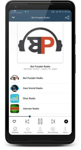 All Punjabi Radio Pro screenshot 3