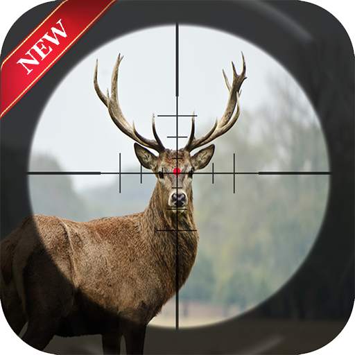 Cool hunting games 1.0