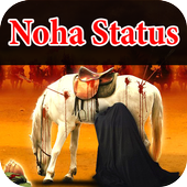 Nohay video status icon