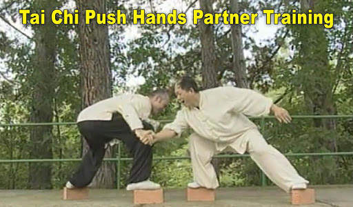 Tai Chi Pushing Hands screenshot 2