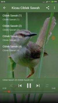 Suara Burung Ciblek Kristal Gacor screenshot 5