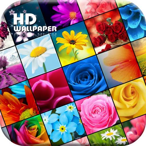 My Flowers Colors HD WALLPAPER 1.1