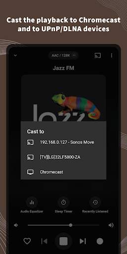VRadio - Online Radio Player & Radio Recorder screenshot 5