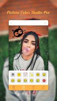 Picture Color Studio Pro screenshot 2