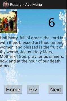 Virtual Rosary Catholic screenshot 3