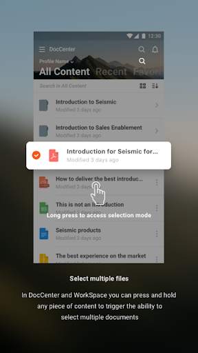 Seismic screenshot 6