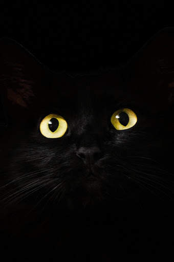 Black Wallpapers screenshot 3