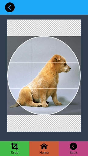 Background Remover screenshot 4