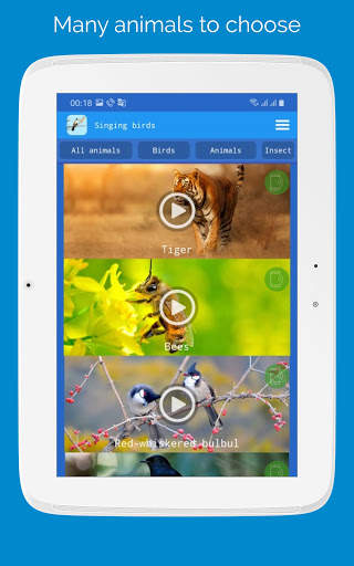 Singing Birds स्क्रीनशॉट 10