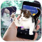 Cat on Screen Funny Joke 1.0