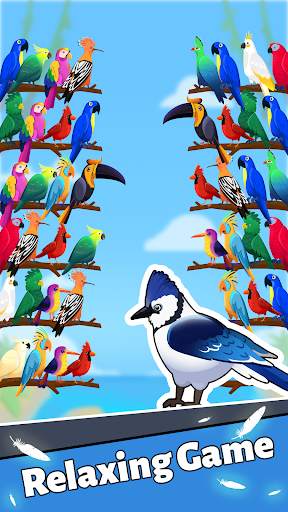 Bird Puzzle - Sorting Offline screenshot 3