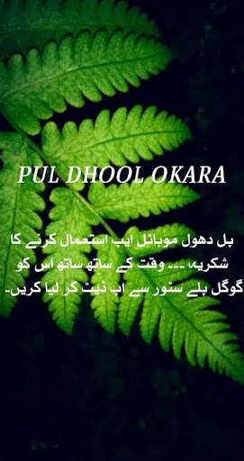 Pull Dhool  Pul Dhool screenshot 1