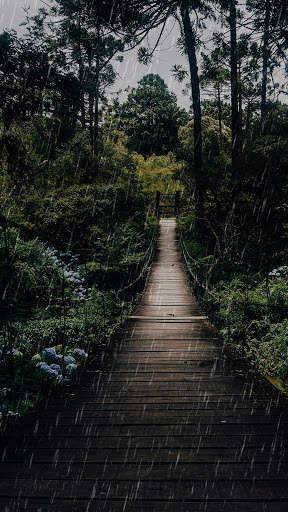Raining Day APUS Live Wallpaper screenshot 5