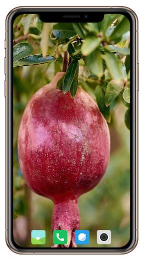 Fruit Trees Wallpaper HD screenshot 5