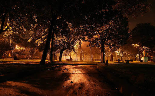 Park Wallpaper screenshot 5