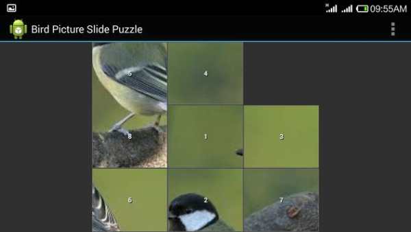 Bird Jig Saw Puzzle screenshot 3