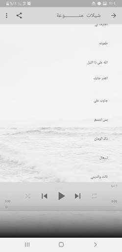 شيلات حماسية 2021 2020 بدون نت screenshot 4