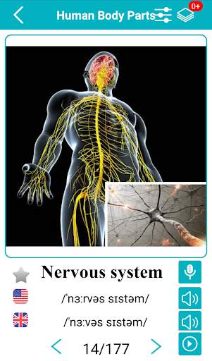 Body Parts Name and Pictures screenshot 5