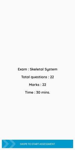 Assessment скриншот 3