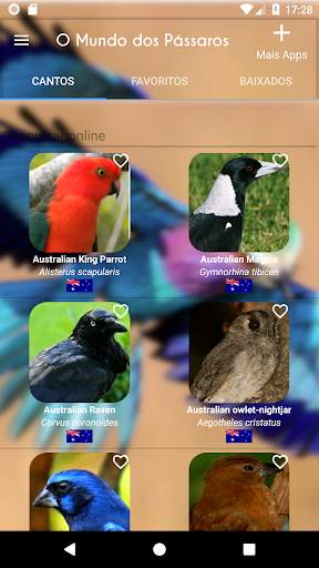 The World of Birds screenshot 4