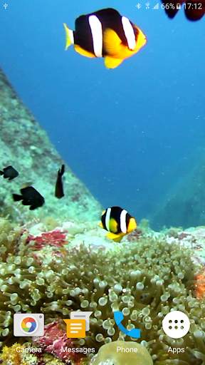 Colorful Fishes Live Wallpaper 7 تصوير الشاشة