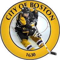 Boston Hockey - Bruins Edition logo