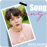 Song Kang Beautiful Wallpaper logo