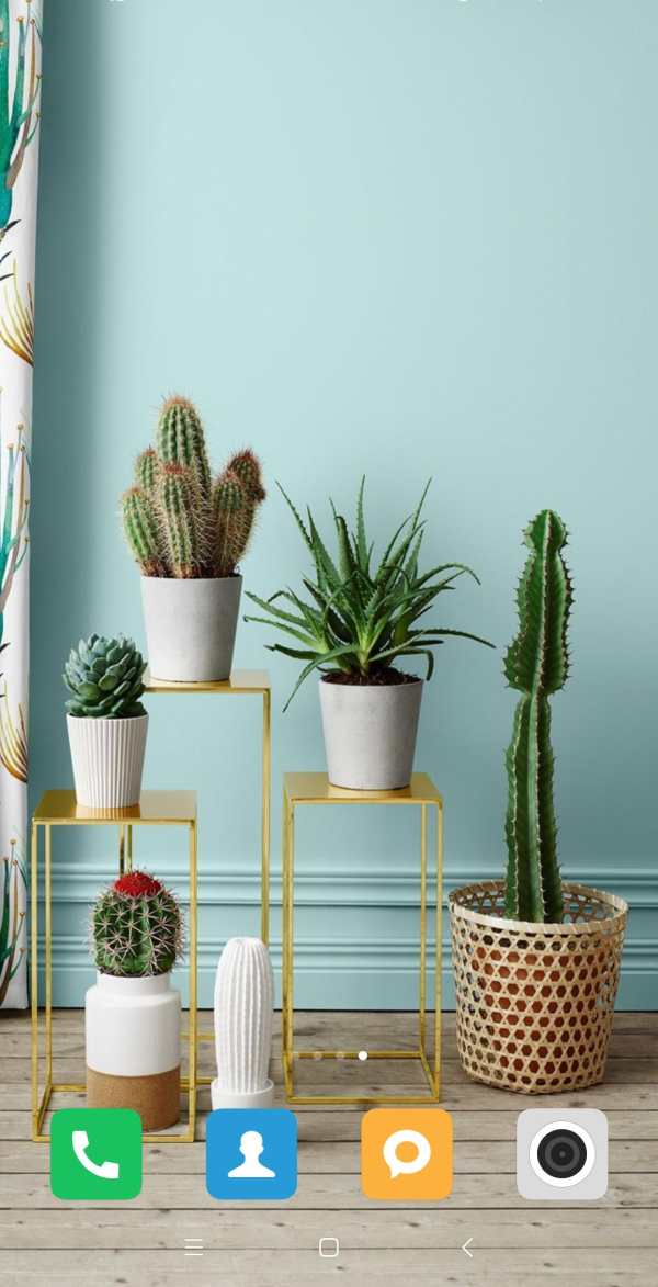 Cactus Wallpaper screenshot 2