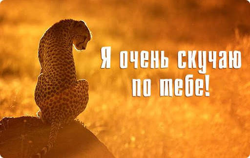 Скучаю По Тебе Открытки screenshot 9