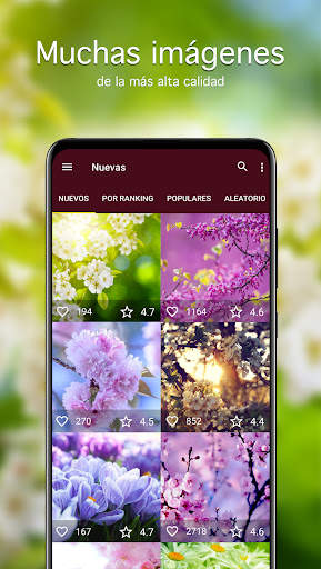 Fondos de pantalla primavera screenshot 2