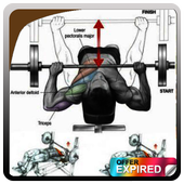 🔥🔥Bodybuilding Muscle Training Tutorial🔥🔥 icon