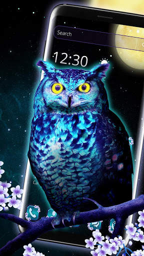 Blue Night Owl Theme screenshot 3