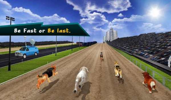 Wild Greyhound Dog Racing screenshot 18