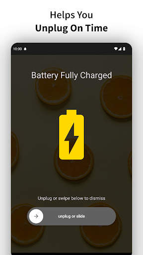 Full Battery Charge Alarm screenshot 11