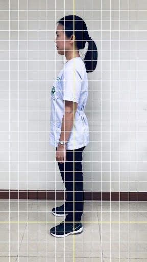 Grid line - posture analysis screenshot 1