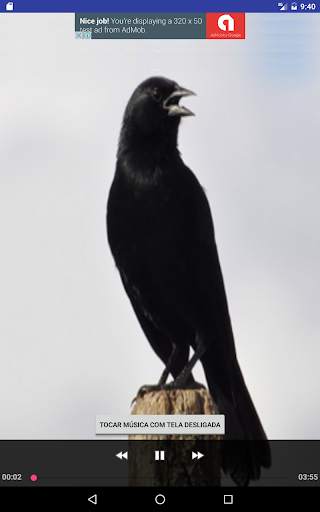 Black Bird screenshot 3
