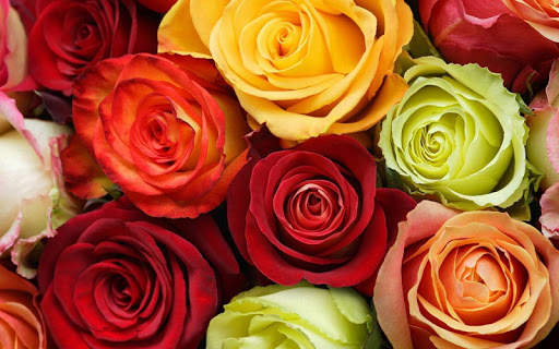 Rosa Live Wallpaper screenshot 7