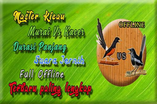 Suara Kacer Dan Murai Batu screenshot 1