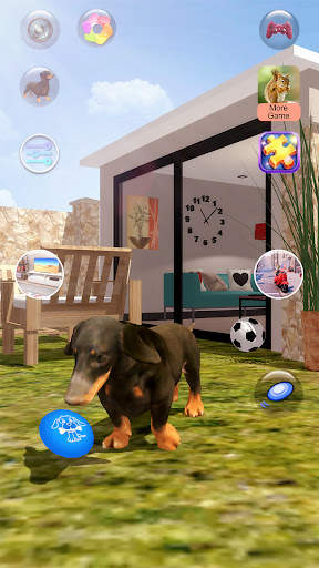 Parler des chiens screenshot 11