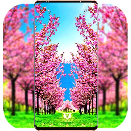 Sakura Wallpaper HD 1.03
