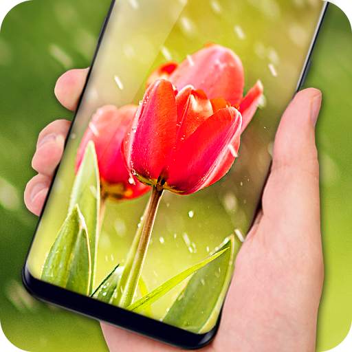 Tulips Live Wallpaper 2018 – Flower HD Backgrounds 1.1