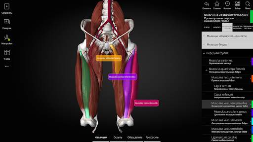 Anatomyka - 3D анатомия скриншот 10