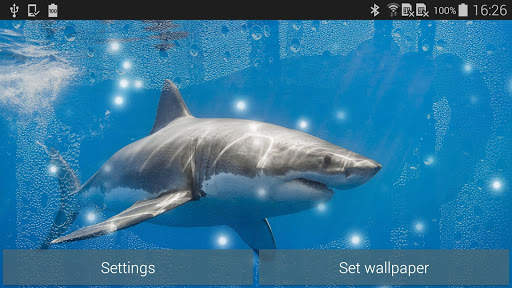 Shark Live Wallpaper screenshot 11