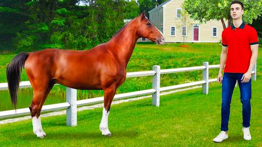 Horse Photo Editor Pic Frames 1 تصوير الشاشة