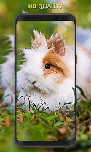 Rabbit Wallpaper screenshot 4
