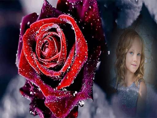 Rose Photo Frames screenshot 1