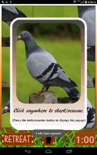 Safari World screenshot 10