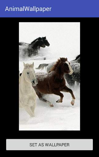Animal Wallpaper screenshot 14