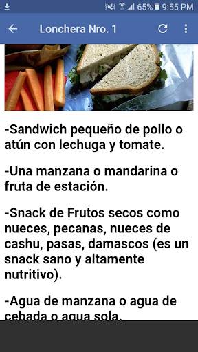 Recetas Loncheras Para Niños 3 تصوير الشاشة