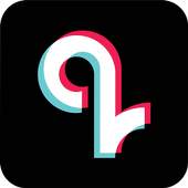 TikTok Videos Downloader! 1.0.3